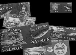 Labels from a few of the early canneries around Vancouver. By 1900 there were over fifty at the mouth of the Fraser River alone, and many others around the&#160;Strait. Harbour Publishing&#160;Archives